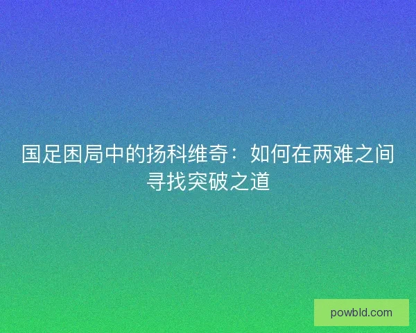 国足困局中的扬科维奇:如何在两难之间寻找突破之道 国足困局中的扬科维奇:如何在两难之间寻找突破之道
